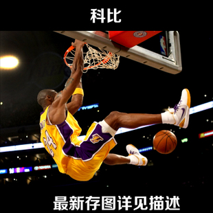 哪里可以办理假职业资格证